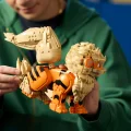 72160 LEGO Pokémon Arcanine